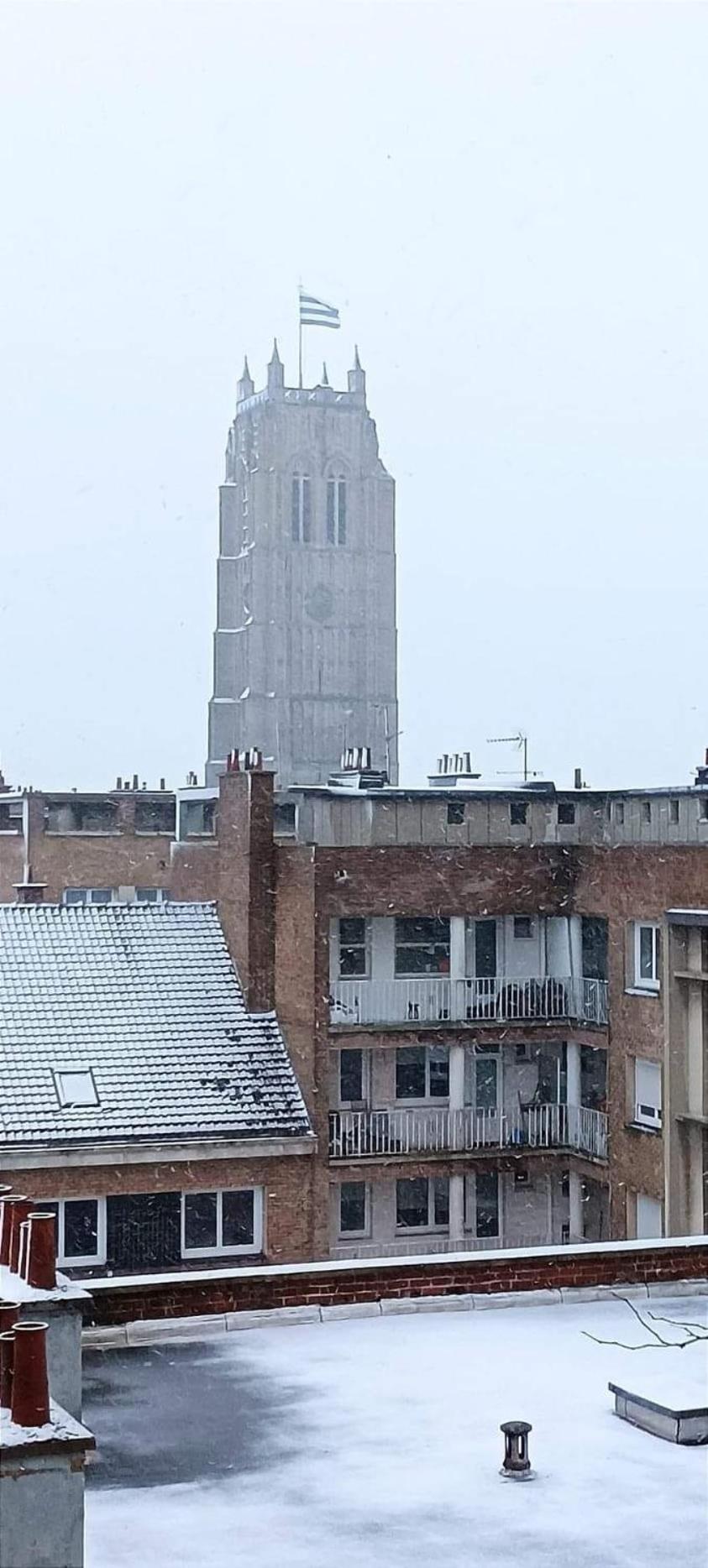 Maison De Ville Restylee Avec Jardin, Proche Gare Dunkirk Eksteriør bilde
